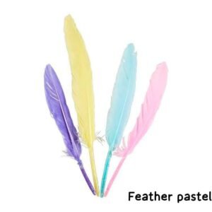 A & C Feather Hard Pastal Colour (Big)-10 Pcs