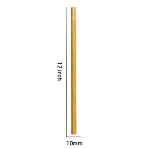 Wooden Square Stick 10mm – 12 Inch (6 Pc) WSS-3