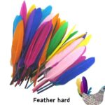 A & C Feather Hard (12 Pcs) M/C – Small - Image 2
