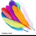 A & C Feather Hard (12 Pcs) M/C - Big - Image 2